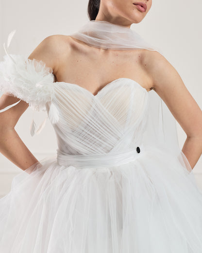 Swan Dream Creation
