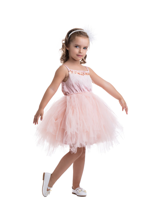 Pinky Dreamy Dress
