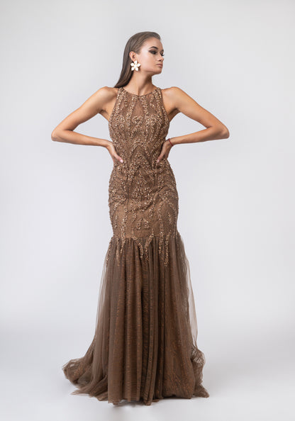 Brown luxurious dress