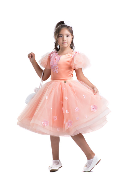 Powder Pink Princess Gown